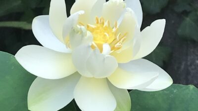 家族の空気が重たい…と感じたとき、まず見つめてほしい“自分の内側”