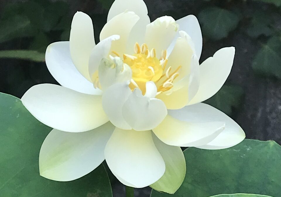 家族の空気が重たい…と感じたとき、まず見つめてほしい“自分の内側”