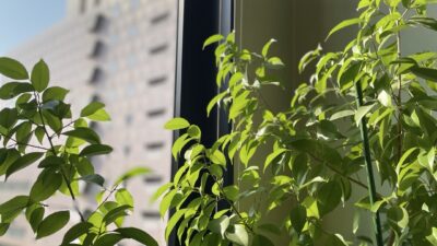 イライラの原因は”相手”じゃなく、心の中の『緊張』だった
